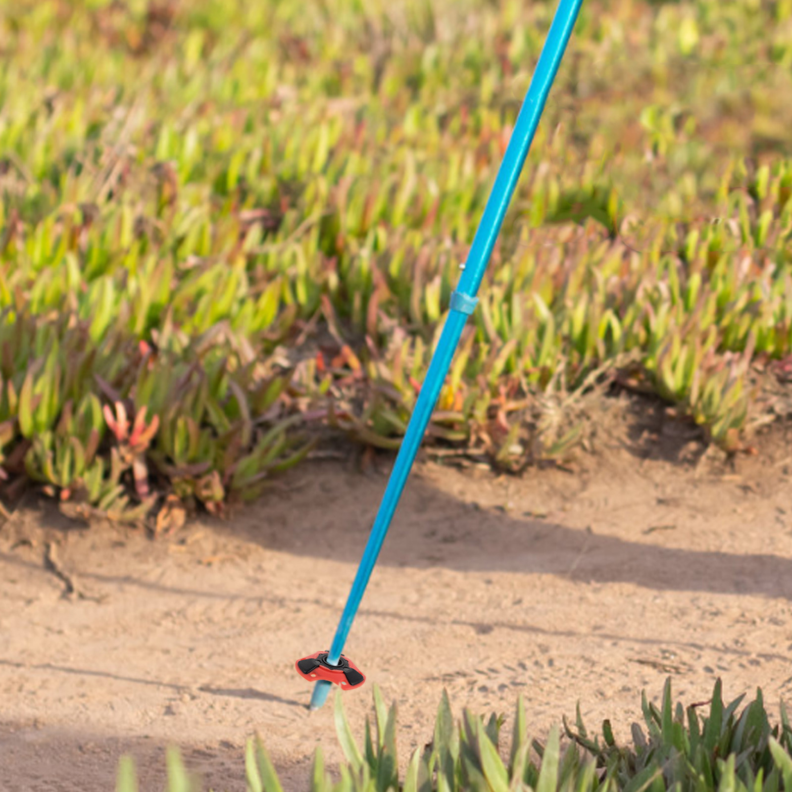 ชุดตะกร้าสำหรับไม้เท้าเดินป่า  - Trekking Poles บทวิจารณ์และราคา
